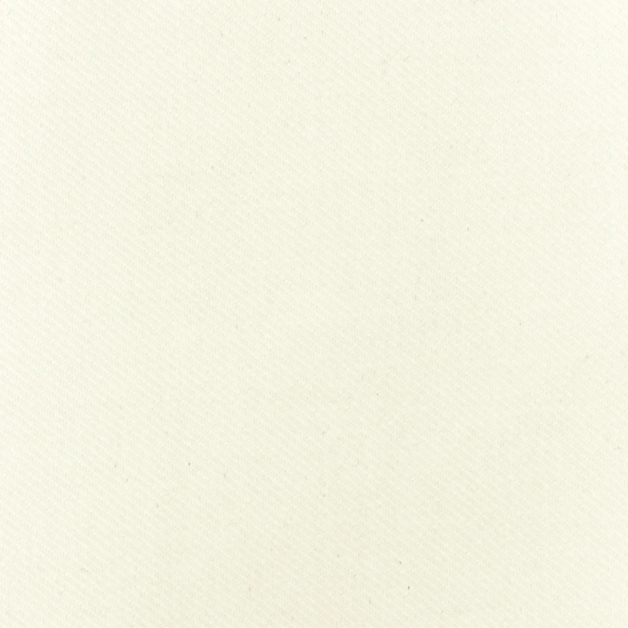 Icing Ivory Stretch Selvedge Denim Fabric