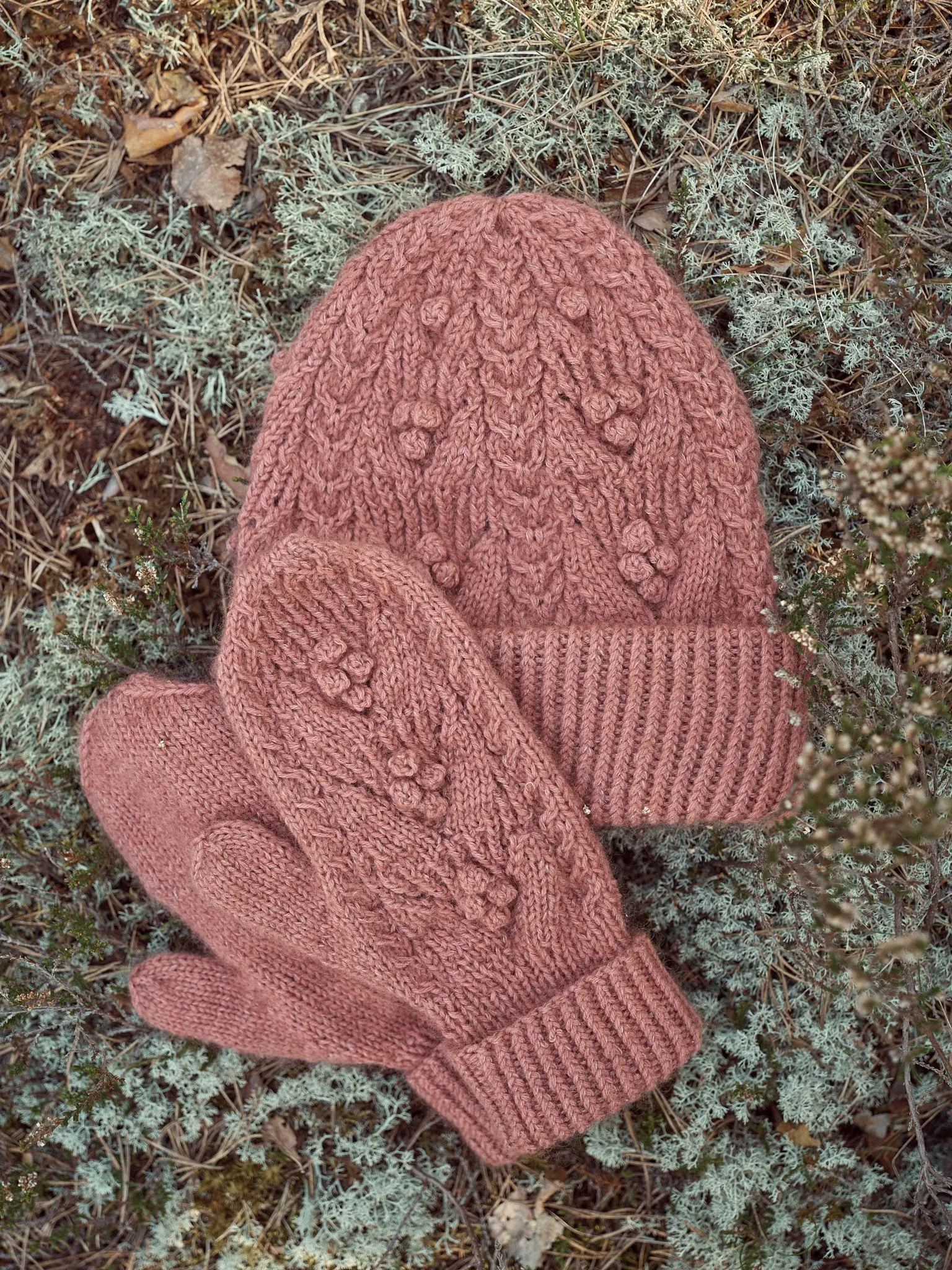 Laine Issue 18 Fall 2023