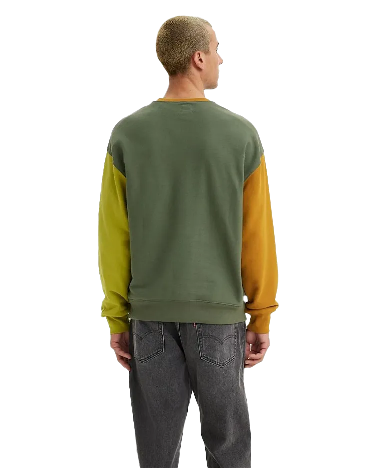Relaxed Graphic Colourblock Sweatshirt in Thyme